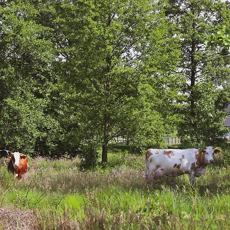 Oaza Swiety Spokoj - Z Balia I Jacuzzi Ferienhaus Rzasnik