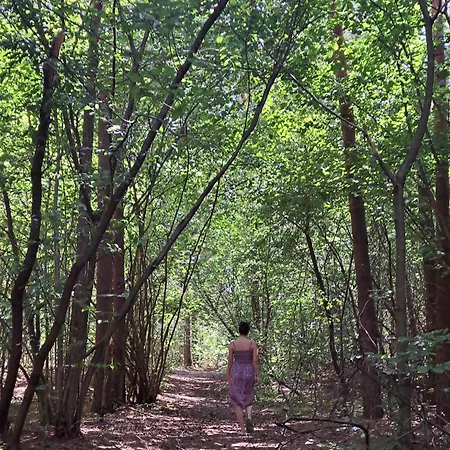 Oaza Swiety Spokoj - Z Balia I Jacuzzi *